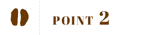 POINT 2