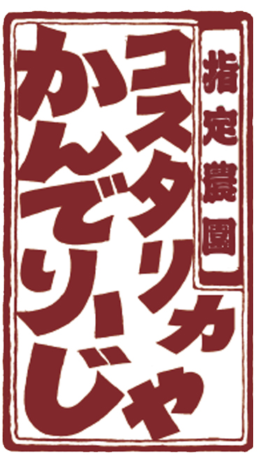 診断結果
