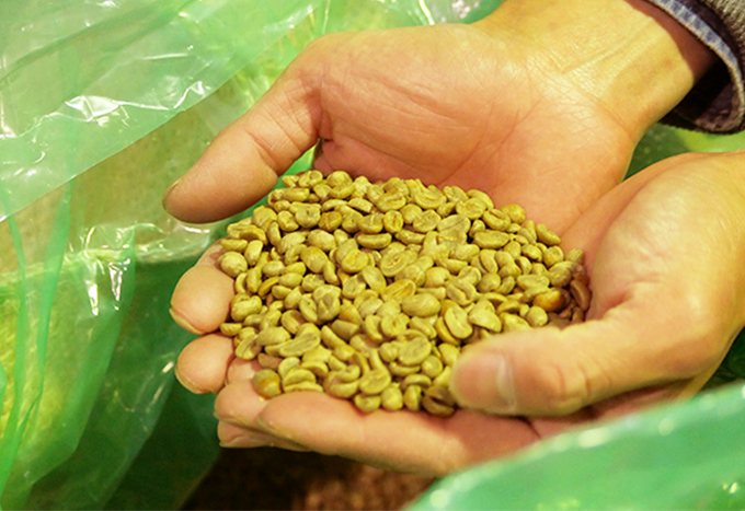 コーヒーの精選について | 大和屋珈琲 YAMATOYA COFFEE