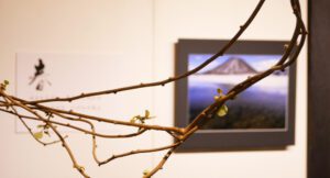 山崎君枝写真展