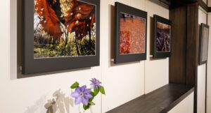 山崎君枝写真展