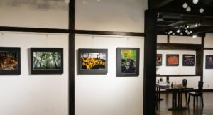 山崎君枝写真展