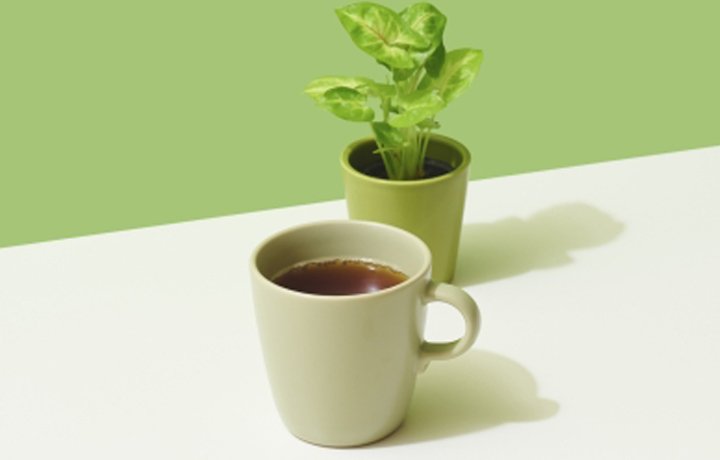 10月1日(土)・2日(日)【珈琲祭】コーヒーとグリーン 花木販売/堆肥作り体験