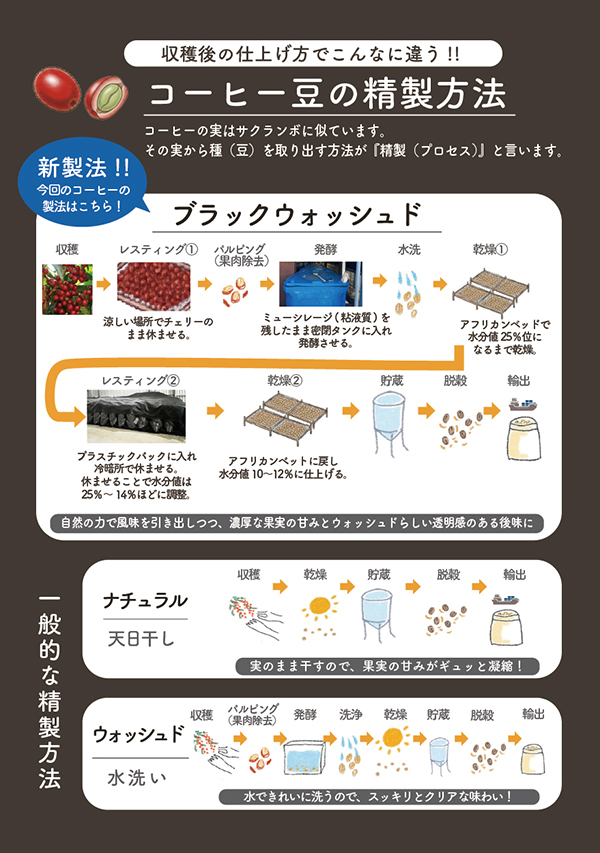 2月13日(金)【新商品】コスタリカ ブラックウォッシュド 発売 | 大和屋