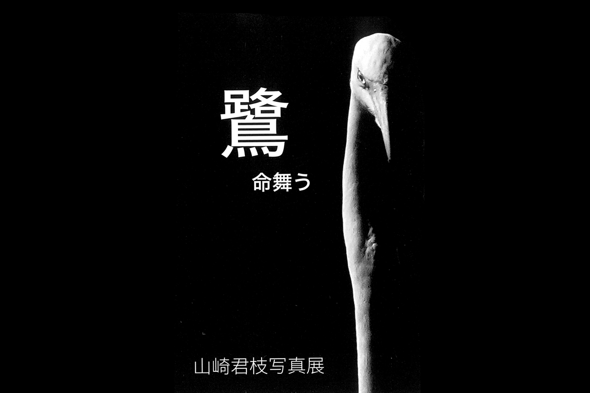 第9回 山崎 君枝 写真展　『鷺』命舞う